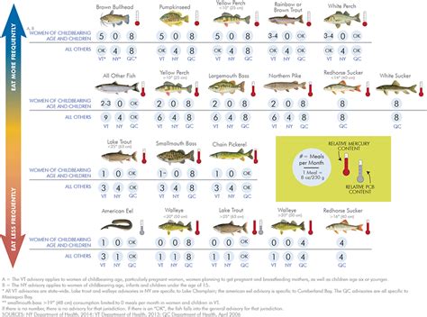 魚的品種|食用魚圖鑑 Fish Consumption Illustrations